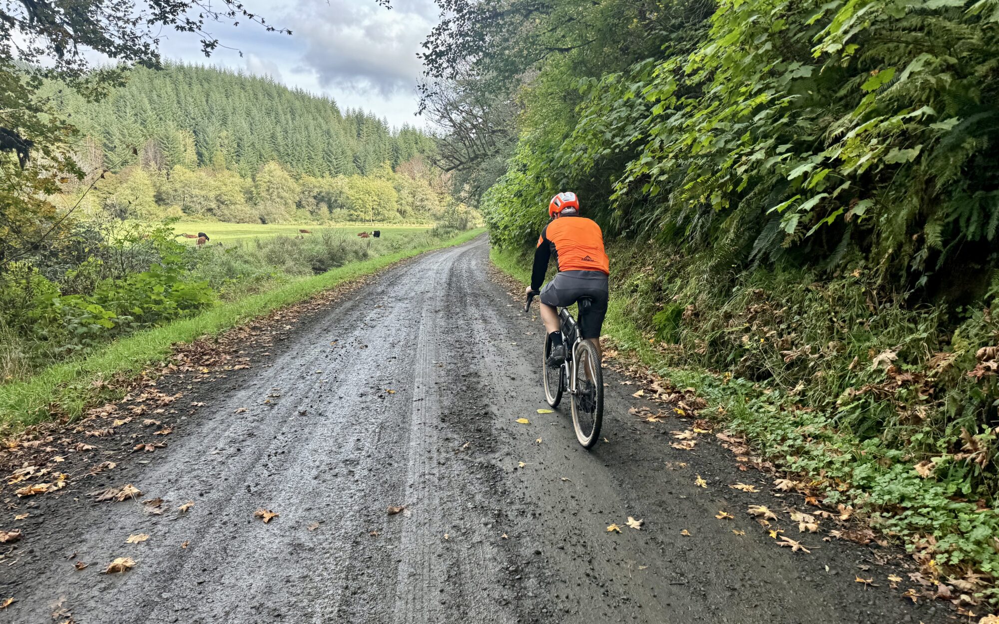 Gravel biking on the Bee Line gravel bike route. Photo by Dirty Freehub.