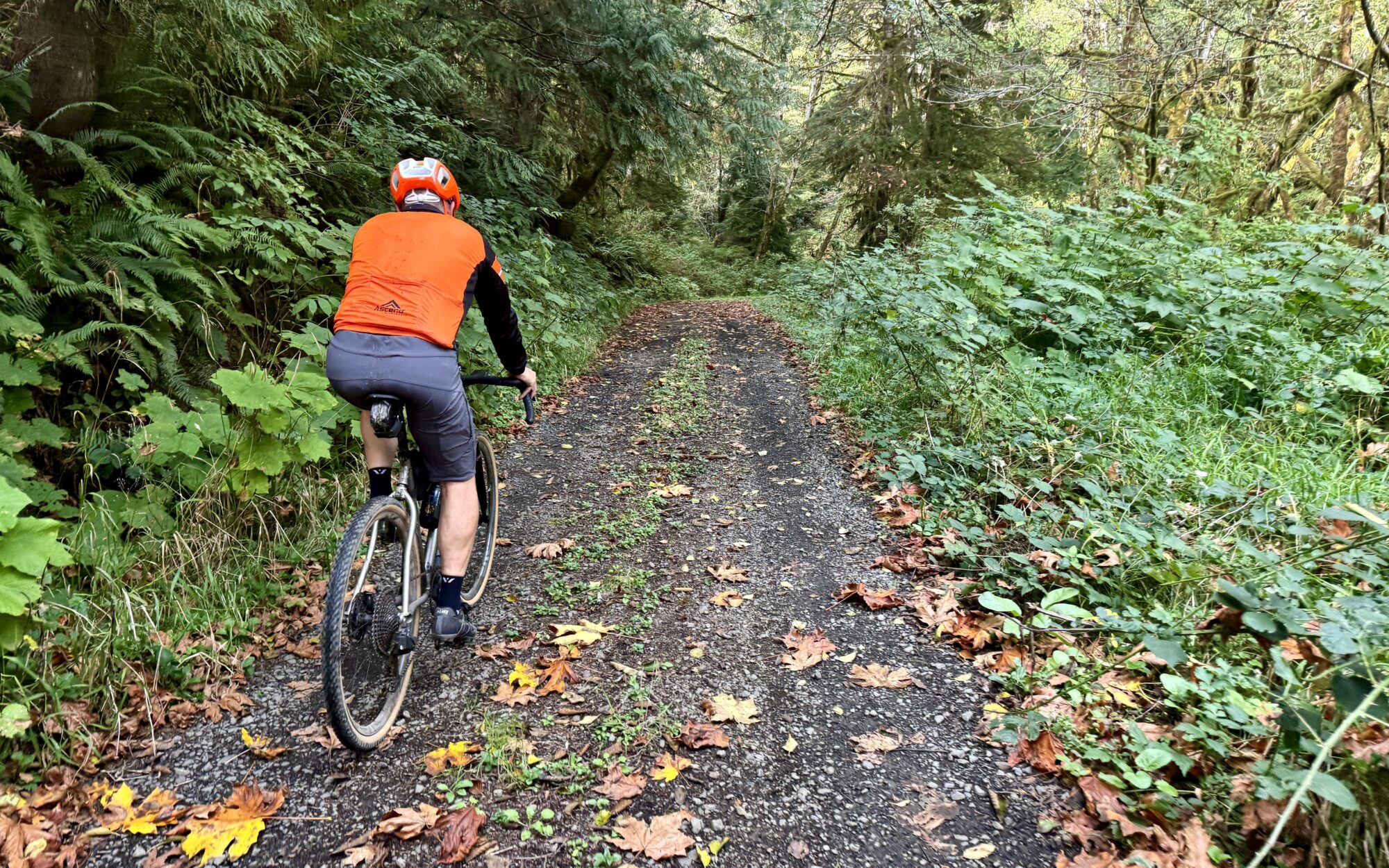 Bee Line gravel bike route south of Florence. Photo by Dirty Freehub.